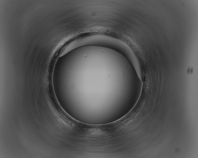 X0000091510392200708241633