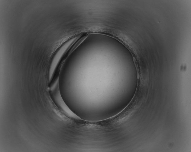 X0000091510393200708241633