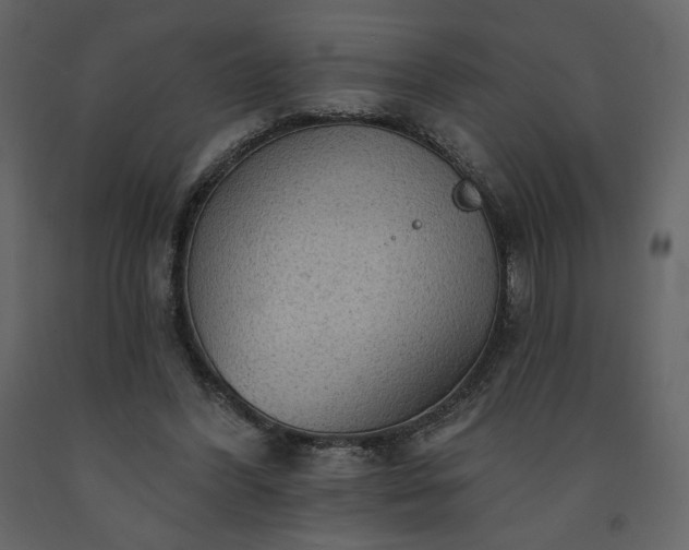 X0000091510396200708241633