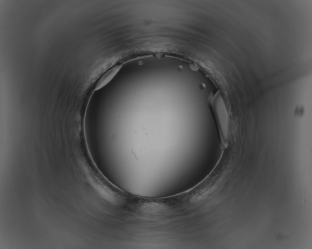 X0000091510397200708241633