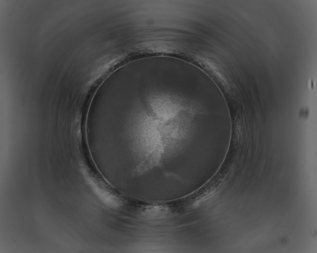 X0000091510398200708241633