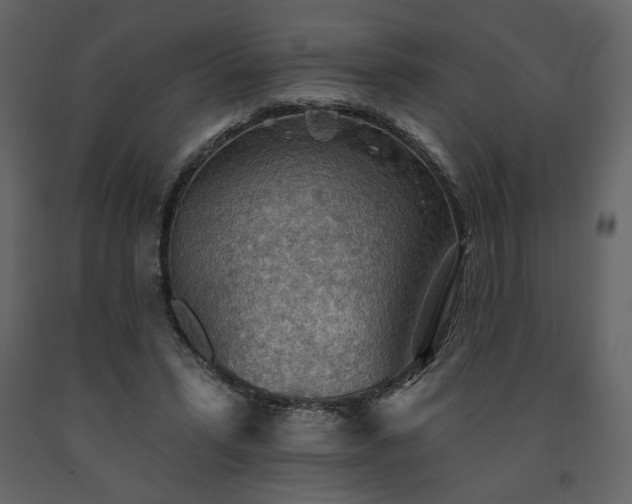 X0000091510399200708241633