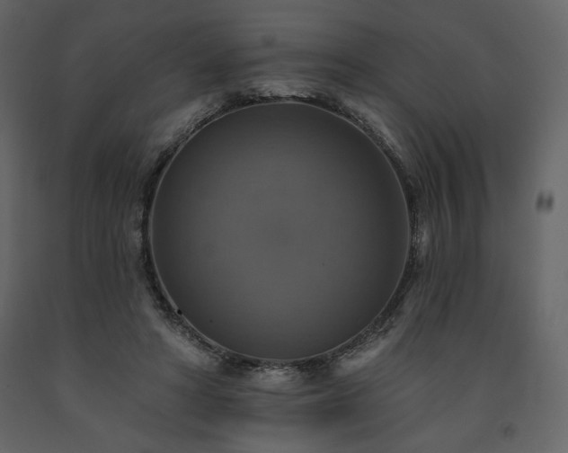 X0000091510402200708241633