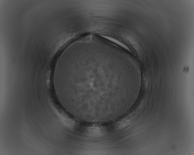 X0000091510404200708241633