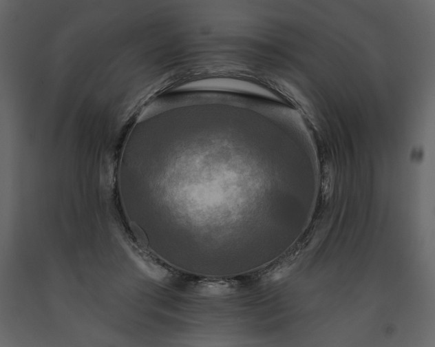 X0000091510405200708241633