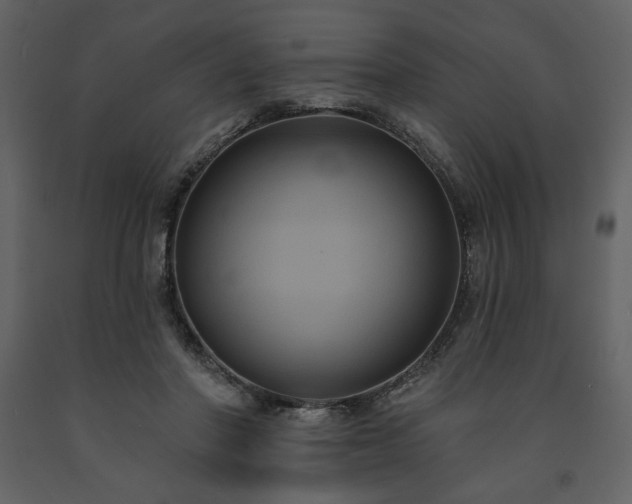 X0000091510406200708241633