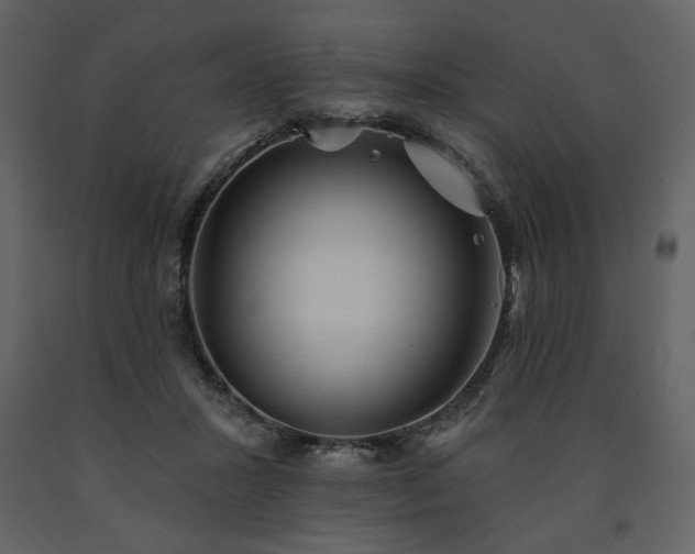 X0000091510407200708241633