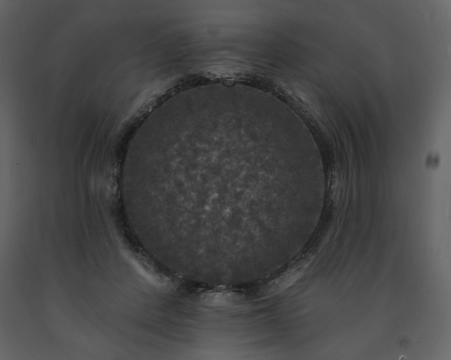 X0000091510408200708241633