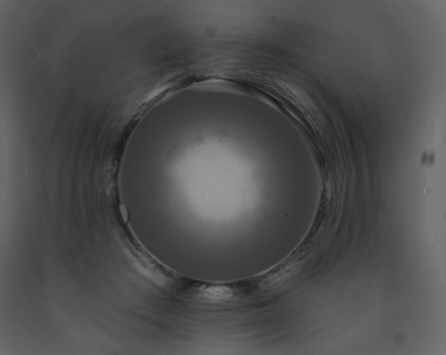 X0000091510409200708241633