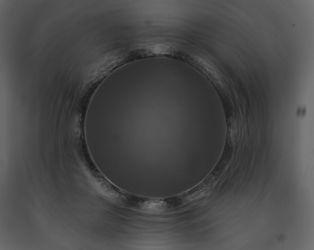 X0000091510410200708241633