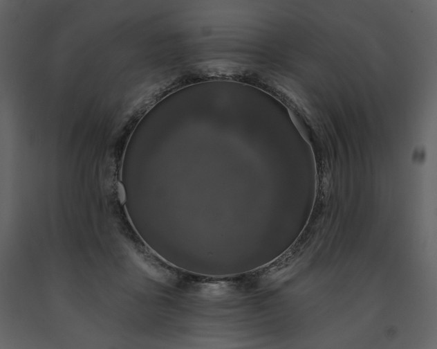 X0000091510411200708241633