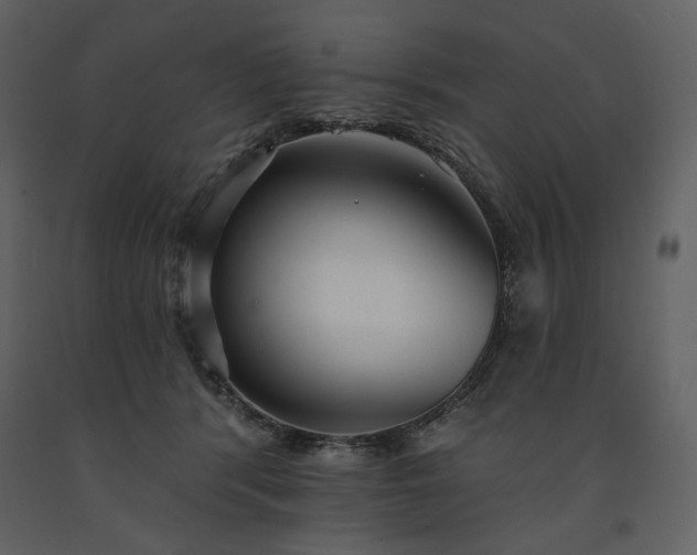 X0000091510416200708241633