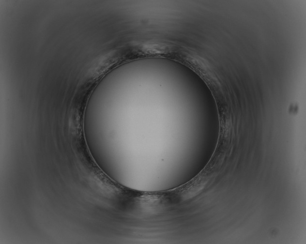 X0000091510418200708241633