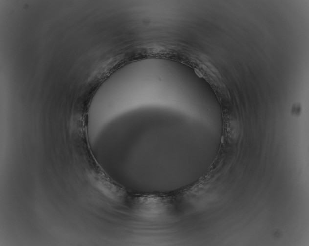 X0000091510419200708241633