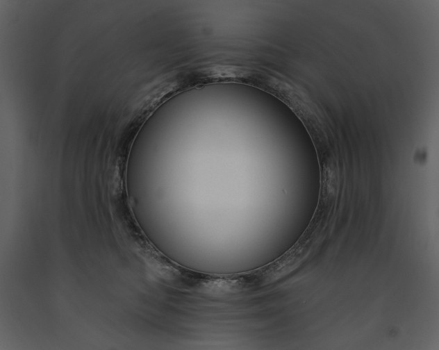 X0000091510422200708241633