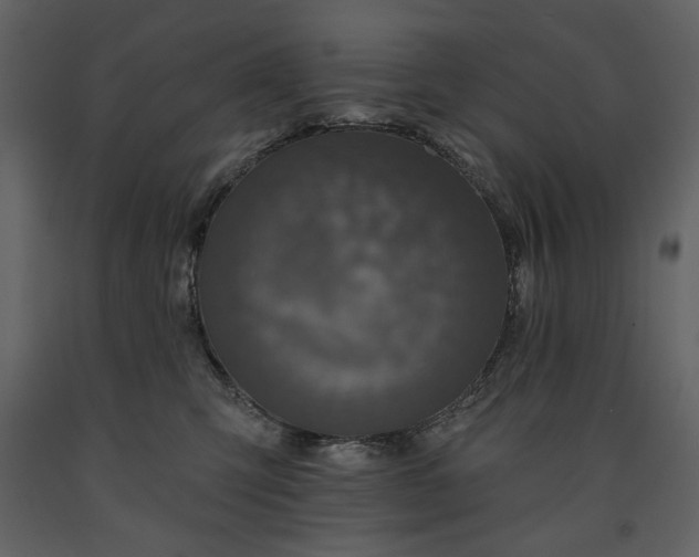 X0000091510423200708241633