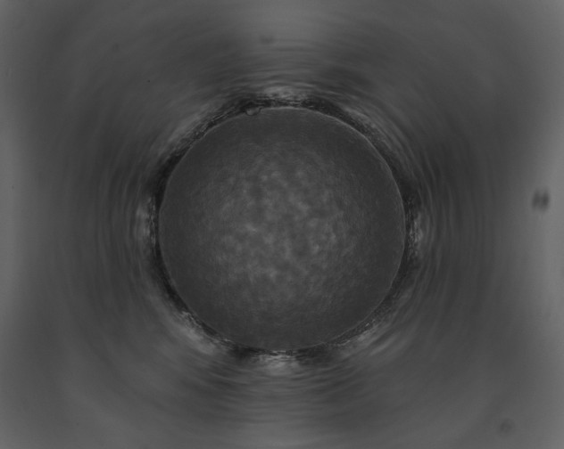 X0000091510424200708241633