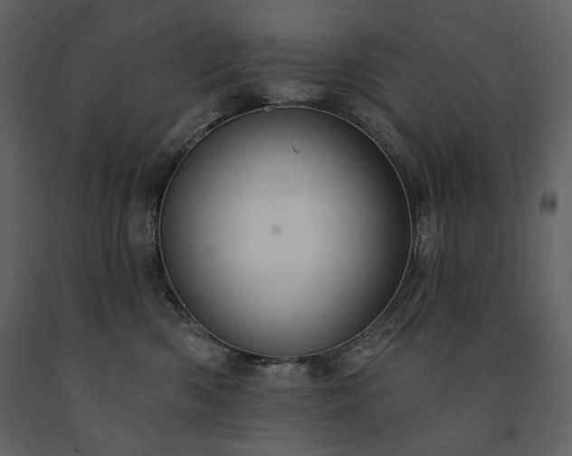 X0000091510426200708241633