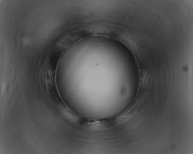 X0000091510430200708241633