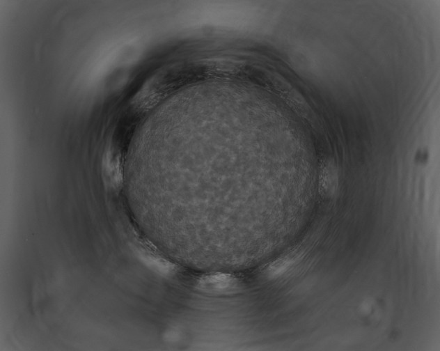 X0000091510431200708241633