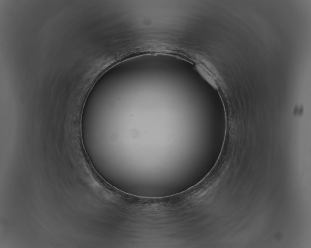 X0000091510433200708241632