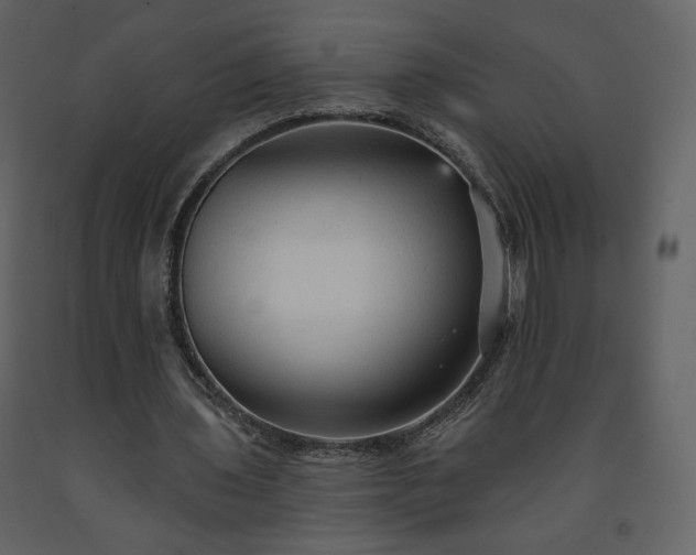 X0000091510435200708241632