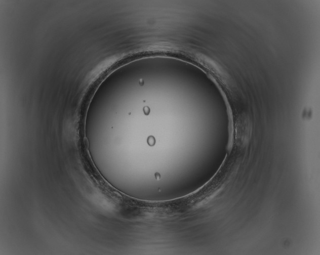 X0000091510436200708241632