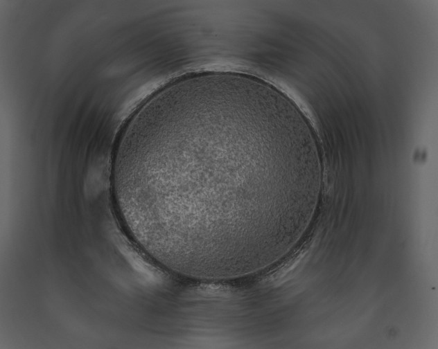 X0000091510437200708241632