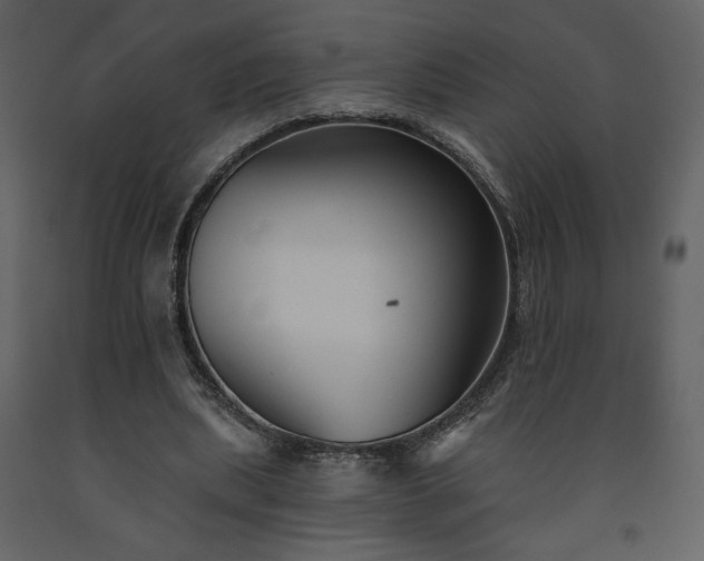 X0000091510439200708241632