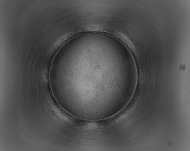 X0000091510441200708241632