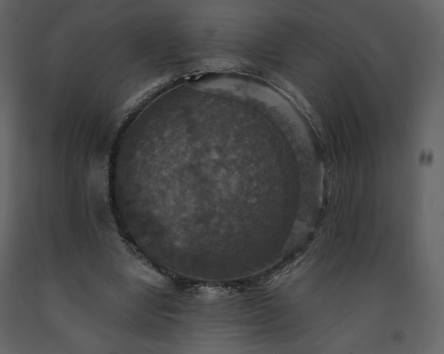 X0000091510442200708241632