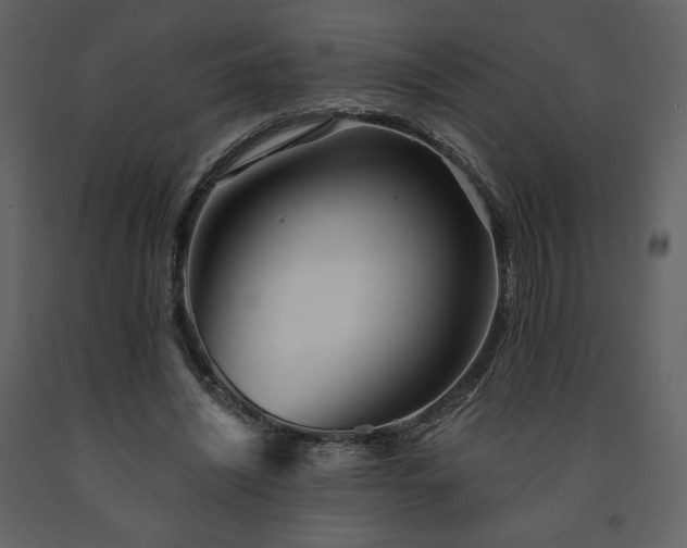 X0000091510444200708241632