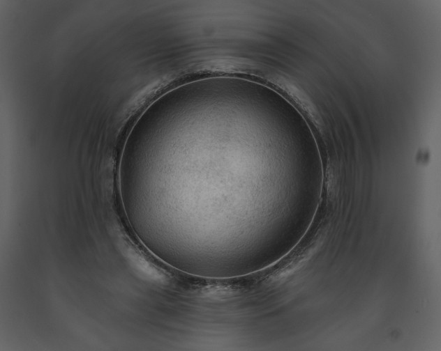 X0000091510445200708241632