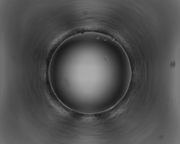 X0000091510446200708241632