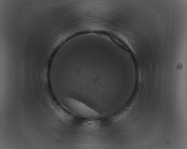 X0000091510447200708241632