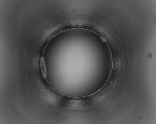 X0000091510448200708241632