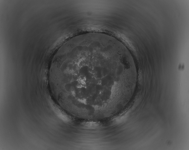 X0000091510449200708241632