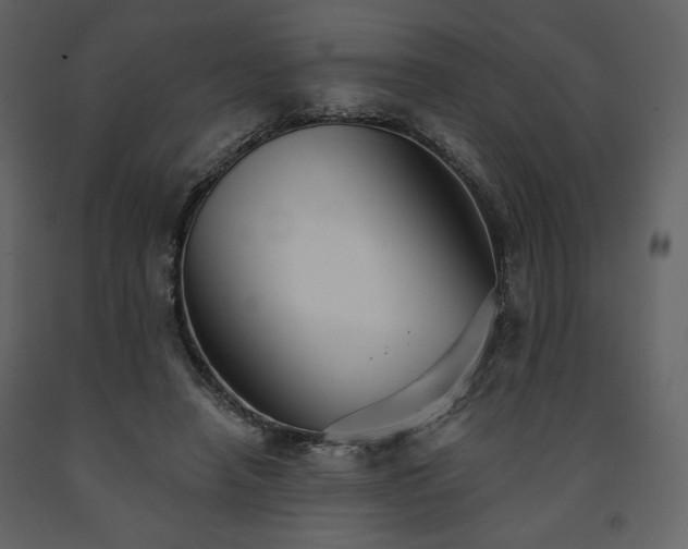 X0000091510450200708241632