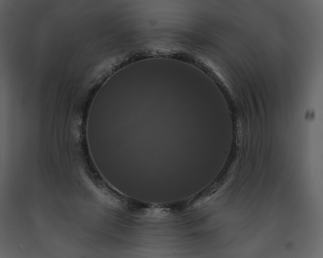 X0000091510451200708241632