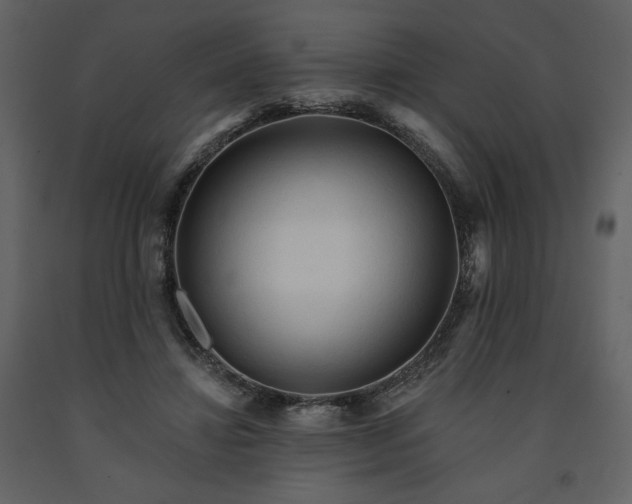 X0000091510452200708241632