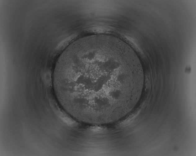 X0000091510453200708241632