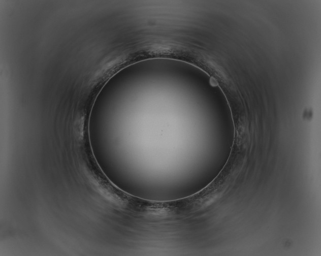 X0000091510454200708241632