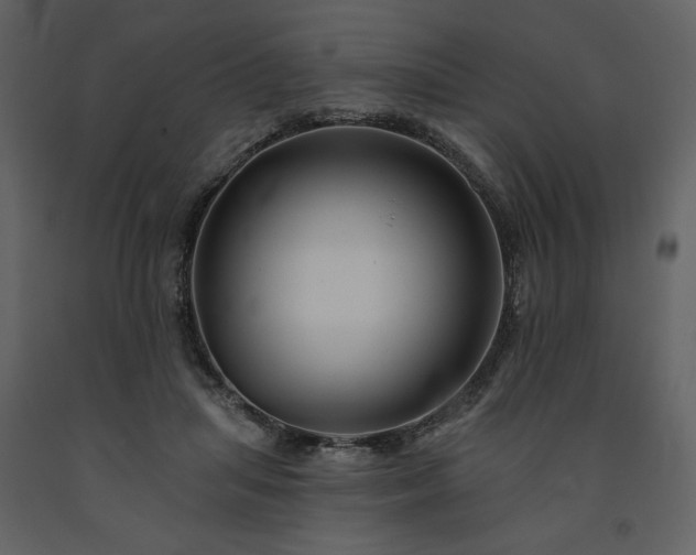 X0000091510455200708241632