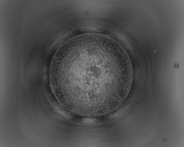 X0000091510457200708241632