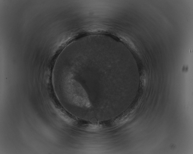 X0000091510458200708241632