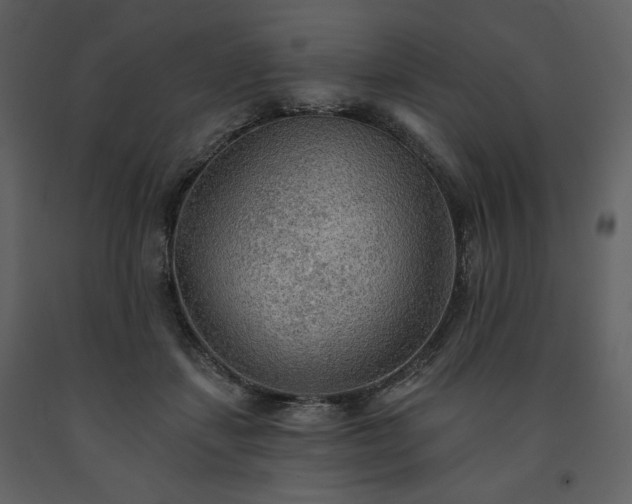 X0000091510459200708241632