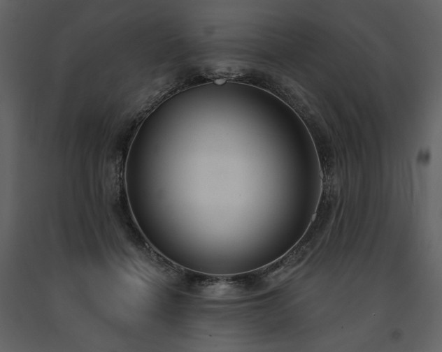 X0000091510460200708241632