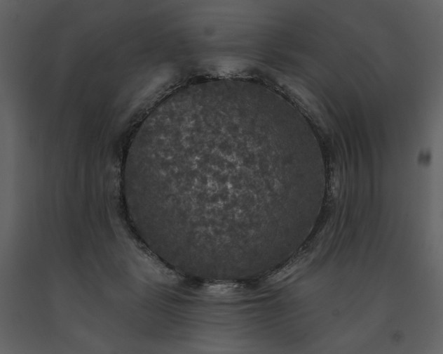 X0000091510461200708241632