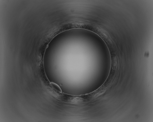 X0000091510463200708241632