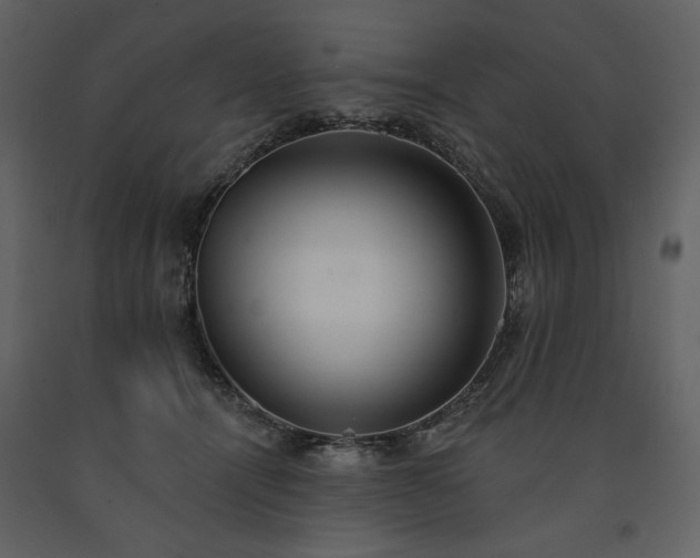 X0000091510464200708241632